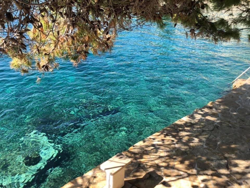 Domora Apartment Trogir
