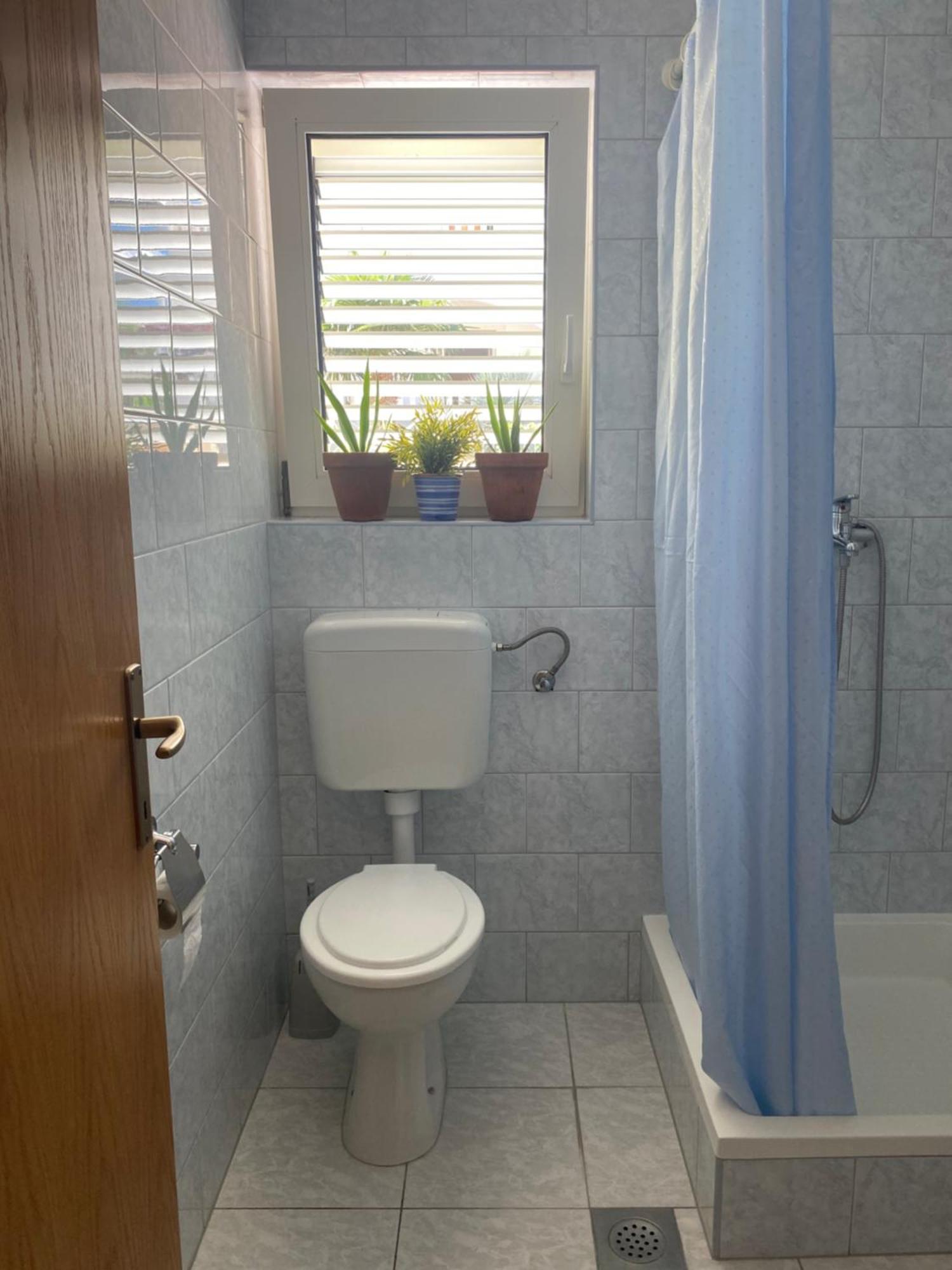 Apartment Domora
